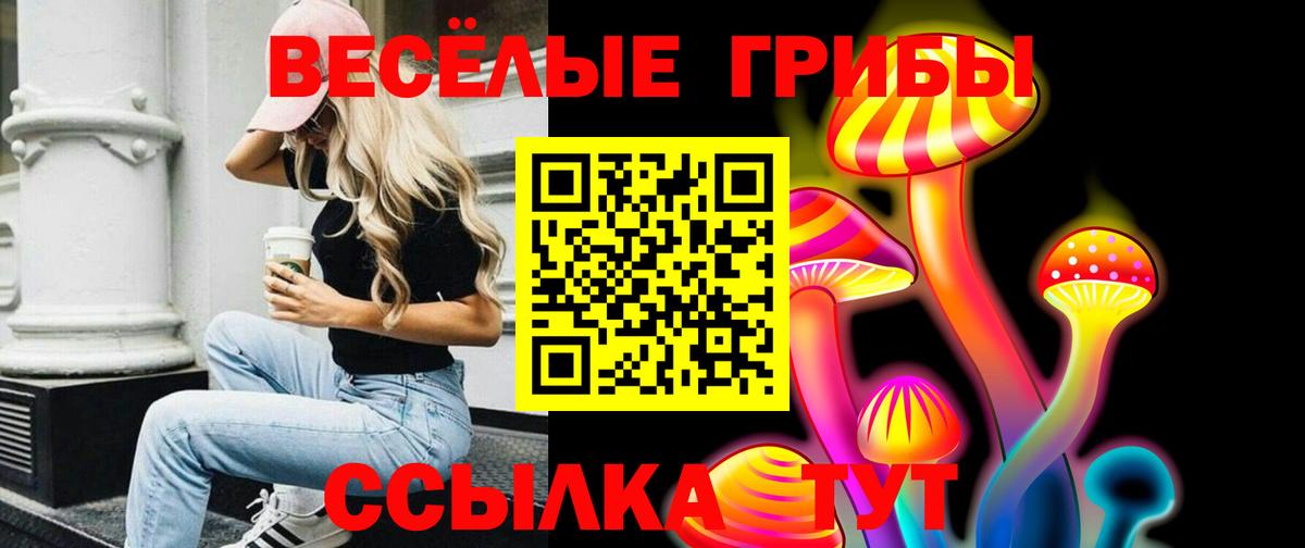 Галлюциногенные грибы MAGIC MUSHROOMS Чайковский
